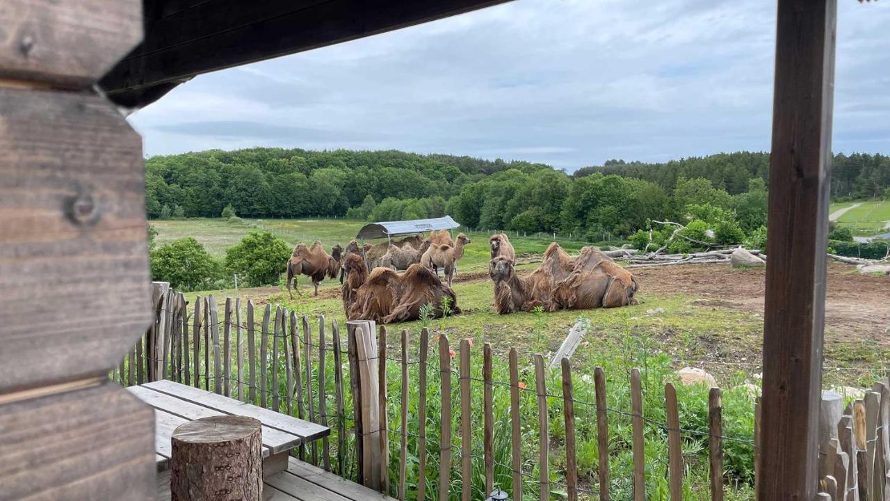 Ree Park Safari Farm stay Ebeltoft