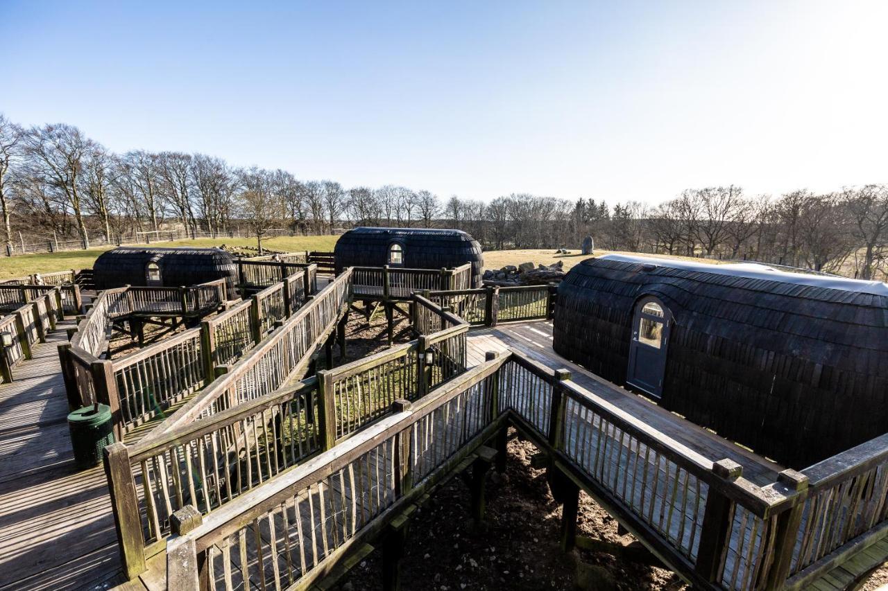 Gospodarstwo agroturystyczne Ree Park Safari Ebeltoft