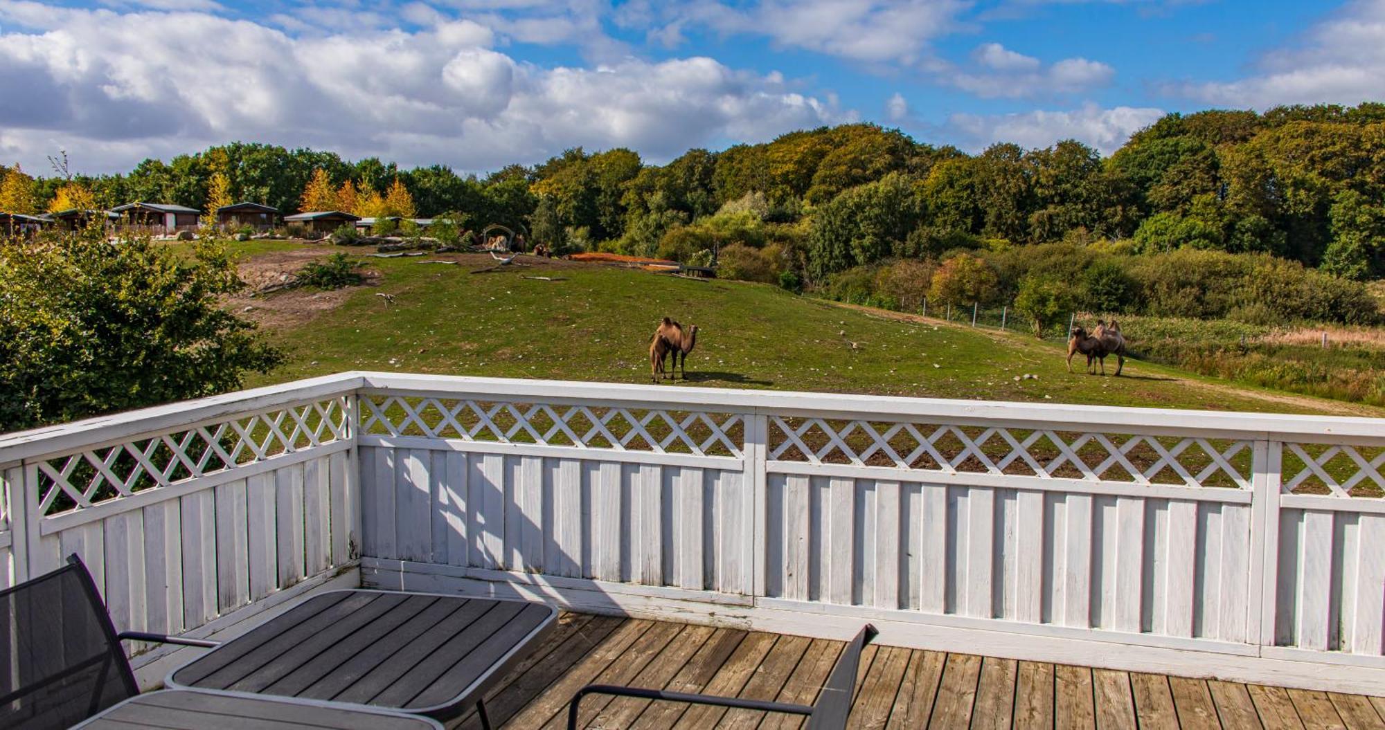 Farm stay Ree Park Safari Ebeltoft