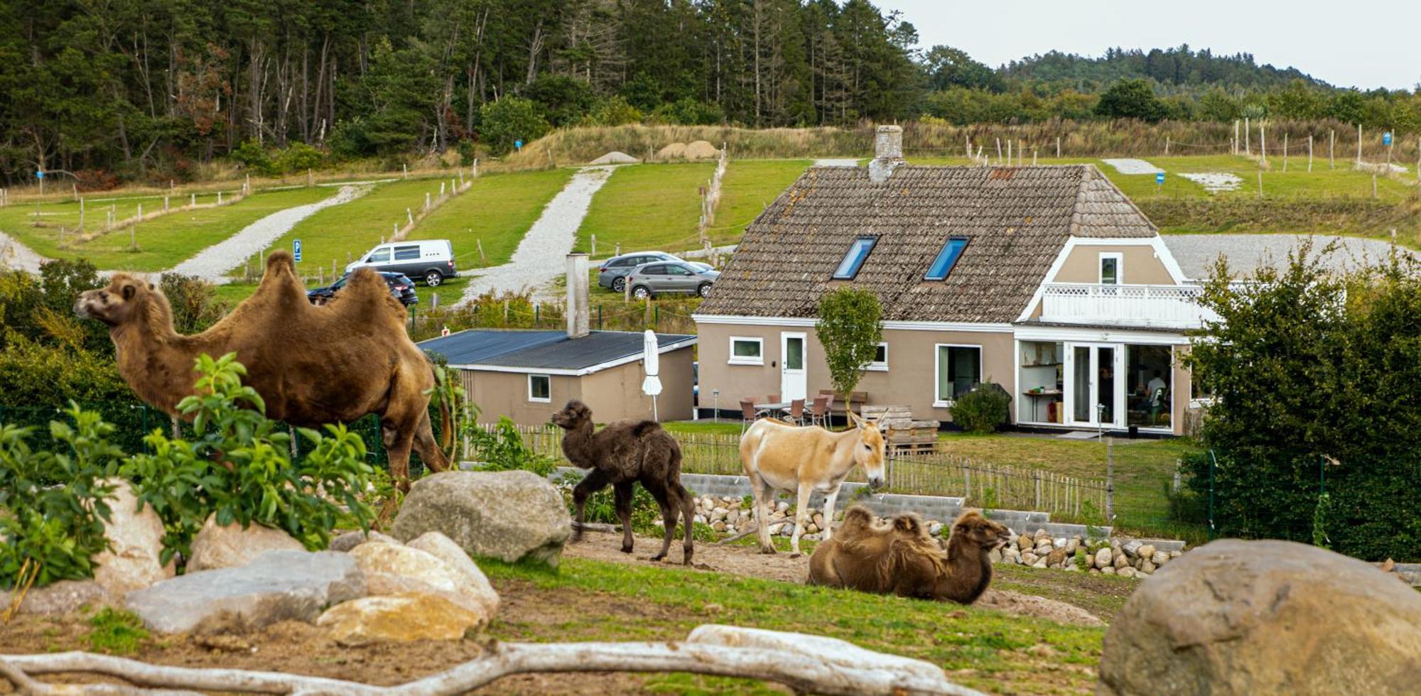 Ree Park Safari Gospodarstwo agroturystyczne *
