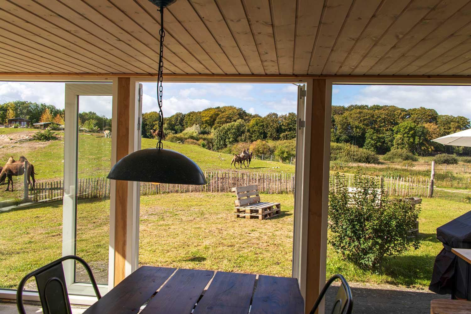 Farm stay Ree Park Safari *