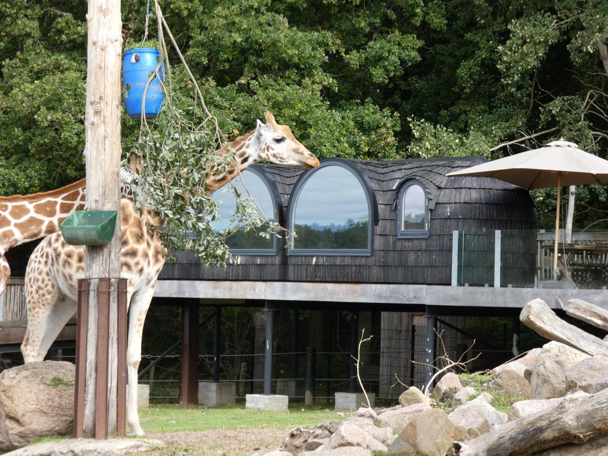 Ree Park Safari Ebeltoft