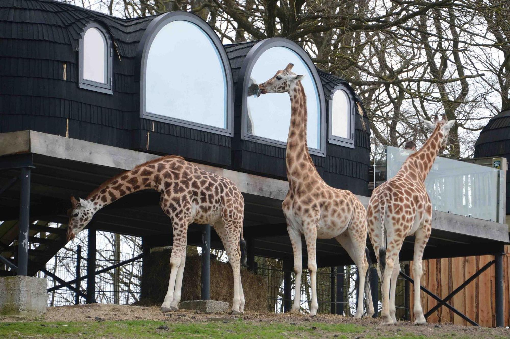 Ree Park Safari * Ebeltoft