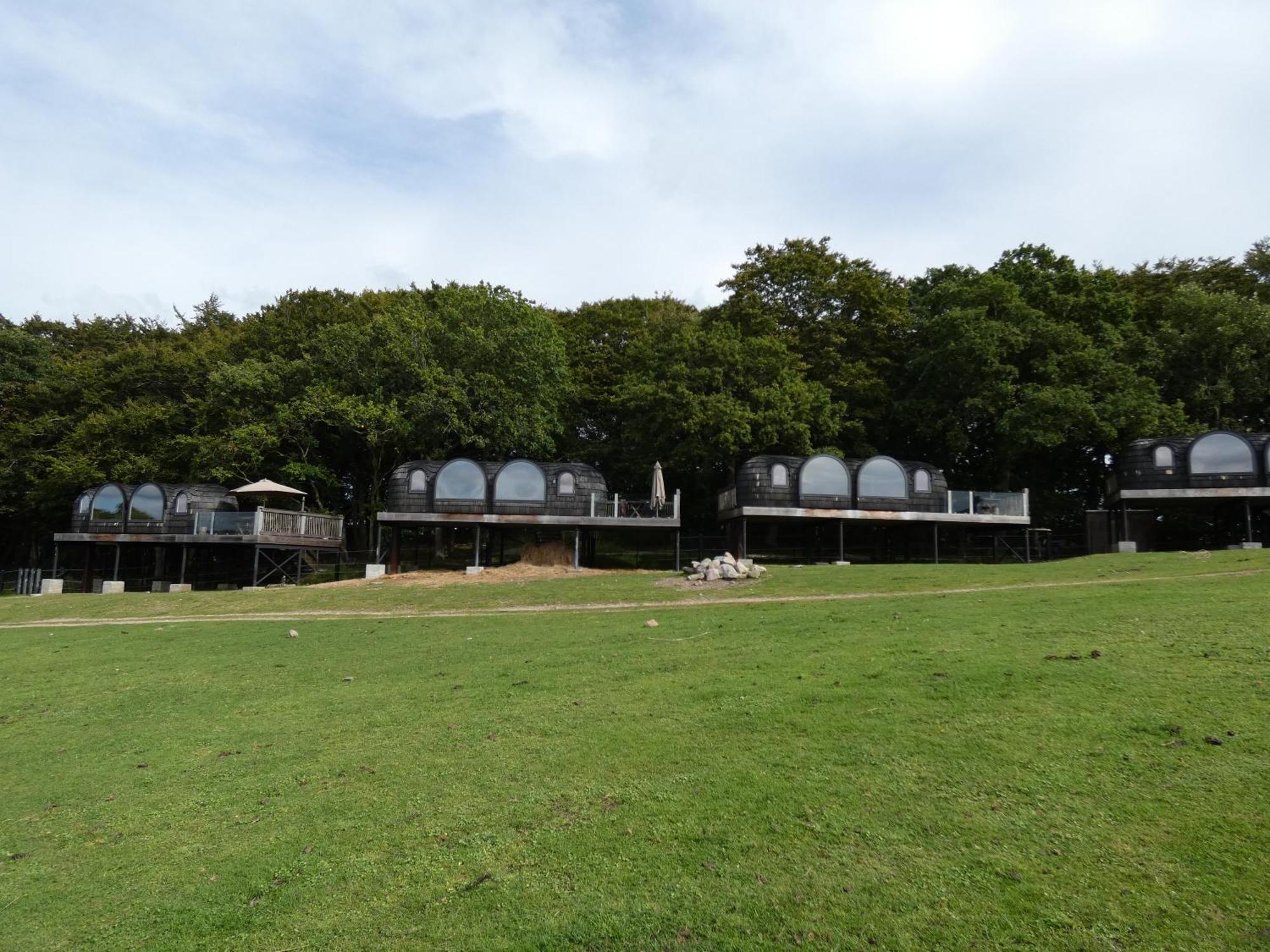 Farm stay Ree Park Safari *